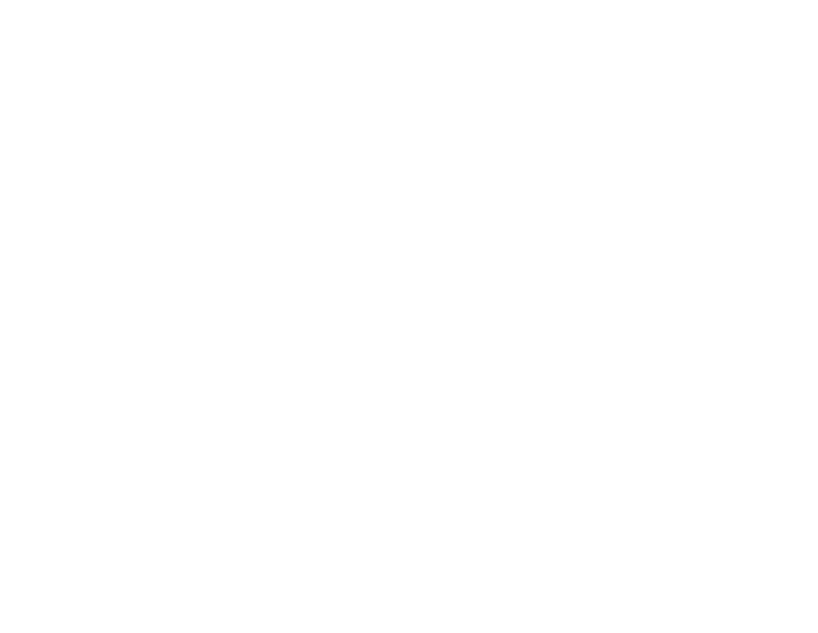 Service Auto Brasov - Dacia