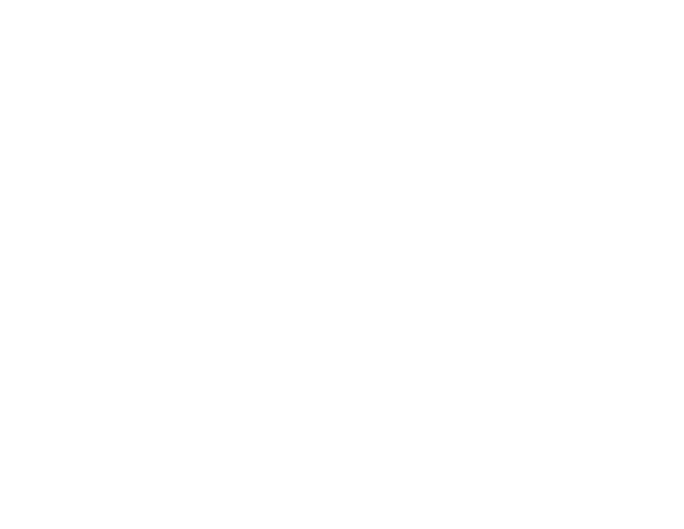 Service Auto Brasov - Skoda